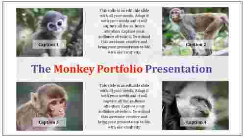 portfolio ppt samples-The Monkey portfolio presentation